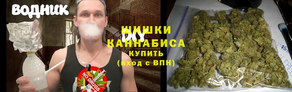 прущие крисы Нефтекумск